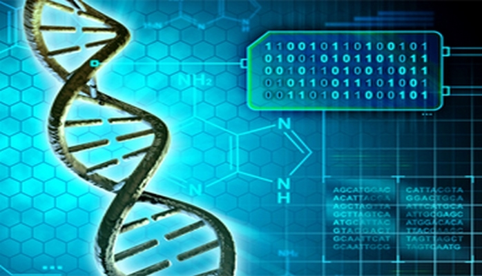 Kompüter alqoritmi DNK-ya görə insanın boyunu proqnozlaşdırır