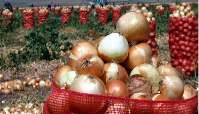 Soğan satışı 4 mln dollar pul gətirib