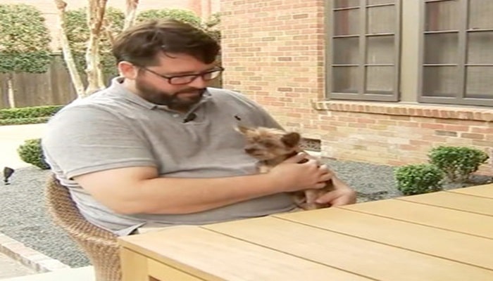 14 il əvvəl itkin düşmüş it ilə sahibinin təsirli görüşü videoya çəkilib