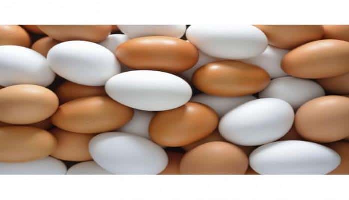 Yumurta barədə nələri yanlış bilirik?