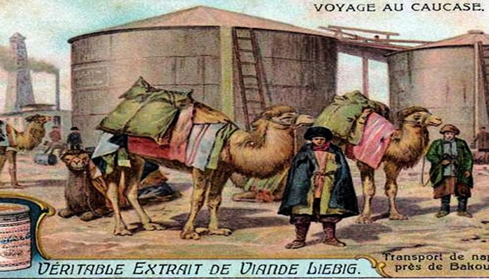 От мясного экстракта Либиха до “Магги” и “Кнорра”