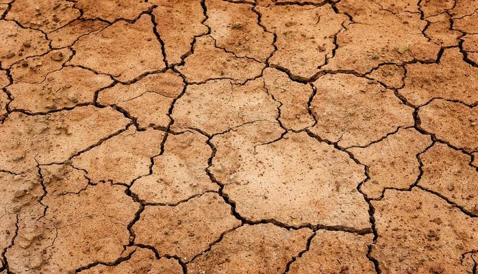 Ученые: нашу планету ожидают глобальные засухи