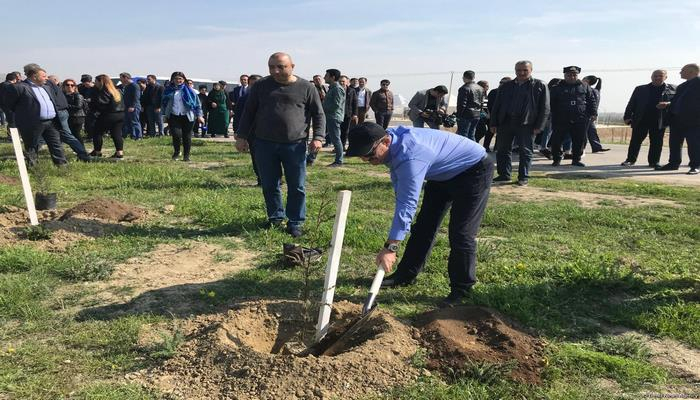 В Гобустанском заповеднике прошла массовая акция по посадке деревьев