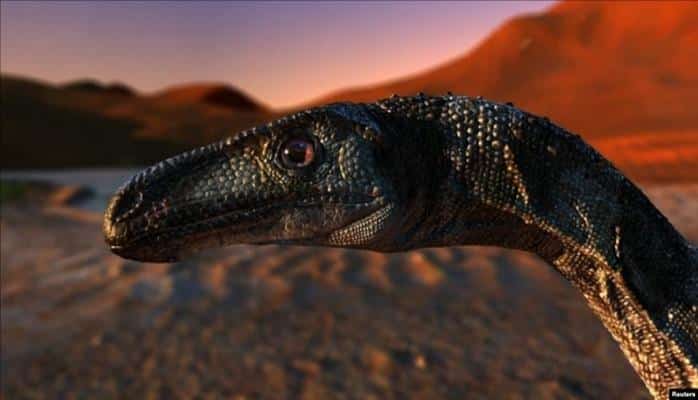 90 milyon il öncə yaşayan dinozavrın qalıqları aşkar edilib