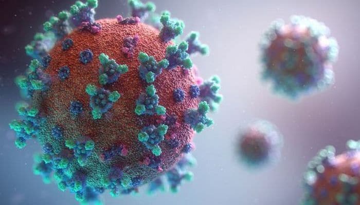 Koronavirusa yoluxan 175 BMT əməkdaşından ikisi vəfat edib