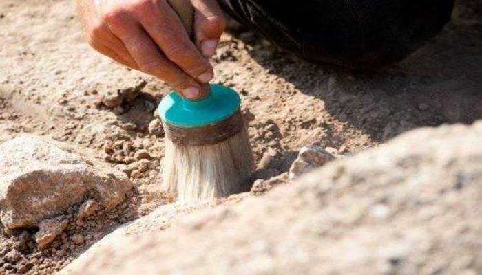 Азербайджанские археологи выдвинули интересную гипотезу об образе жизни древних людей в Азербайджане