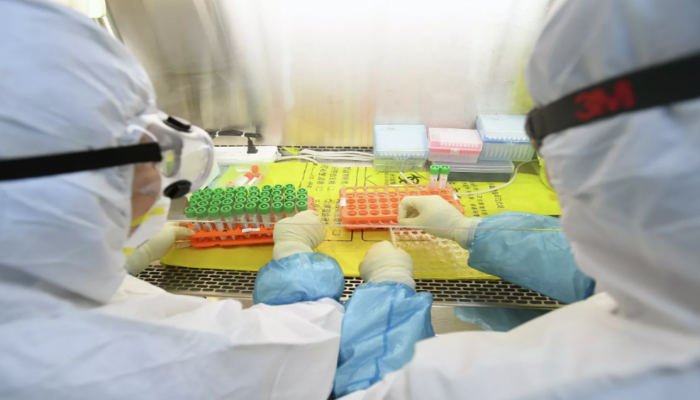 В Японии хотят попробовать лечить коронавирус препаратами от СПИДа