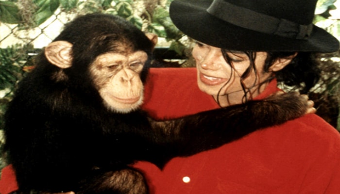 Maykl Ceksonun “Neverland” malikanəsindəki heyvan heykəlləri toplusu satışa çıxarıldı