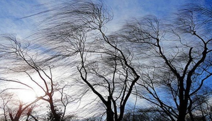 Сильный ветер нанес серьезный ущерб энергохозяйству районов Азербайджана