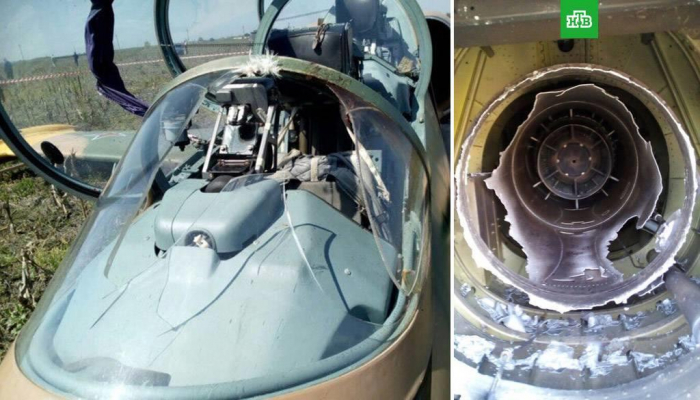 Шокирующие фото. Попадание птиц в кабину пилота