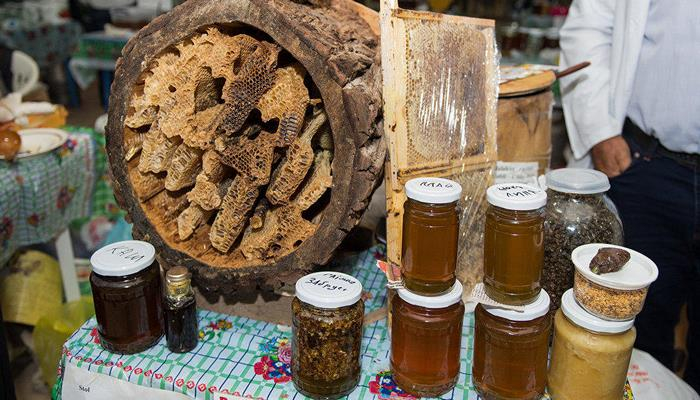 “Əhali bilsin ki, 40 manatdan baha bal olmur” – Arıçı təbii balın sirlərini açdı