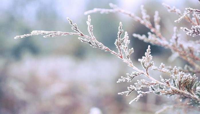 10 dərəcə şaxta gözlənilir