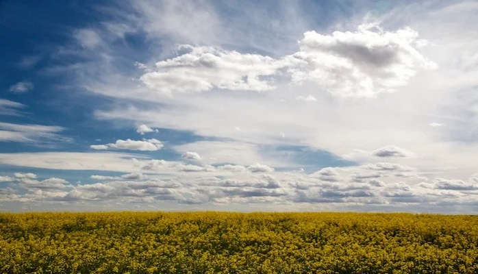 Beyninizi 100% azad edin: məhsuldar şəxsiyyətin qaydaları