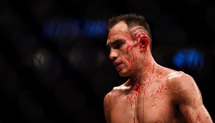 Rəqibindən Həbibə gözdağı: Onu qana boyayacağam