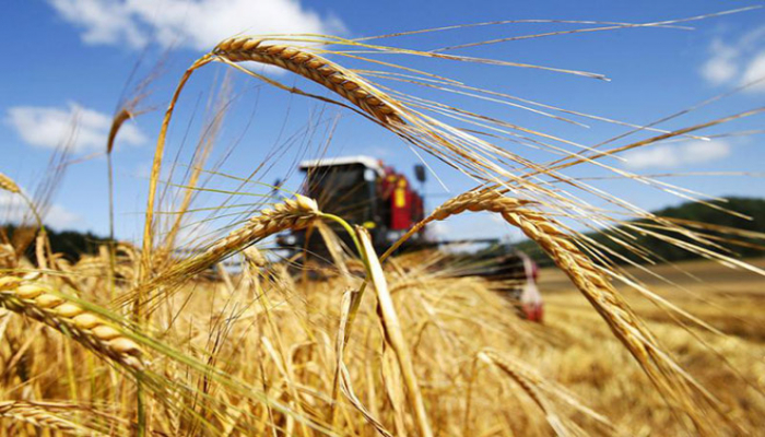 Министерство сельского хозяйства Азербайджана обучает фермеров аграрным навыкам