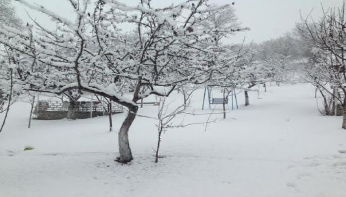 Высота снежного покрова в Сарыбаше составила 9 см