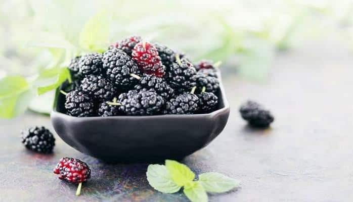 Ягоды шелковицы укрепляют иммунитет и помогают избавиться от анемии