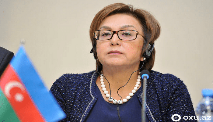 Məleykə Abbaszadə: “Biz sadəcə gözləyərək vaxt itkisinə yol verə bilmərik”