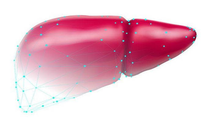 Doktor, mənə qaraciyəri çap edin! Alimlər insanlar üçün "ehtiyat hissələrini" necə yaradırlar?