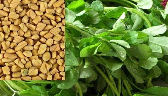 Peyhəmbərimizin sağlamlıq üçün tövsiyə etdiyi möcüzəvi çəmən otu