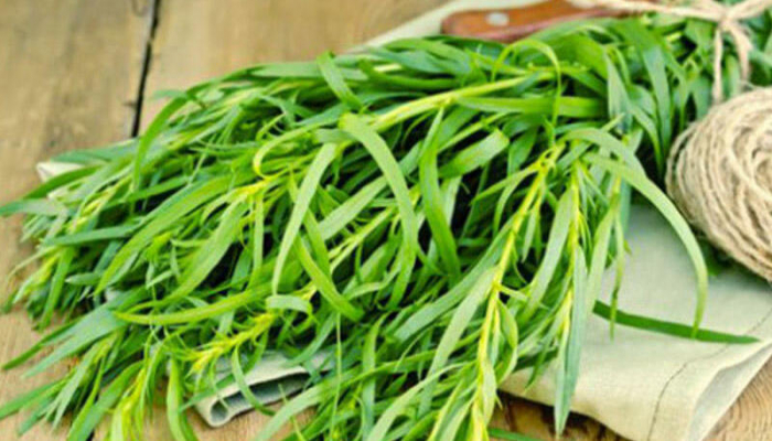 İnanılmaz faydaları olan BİTKİ: Xərçəngə qarşı da təsir edir