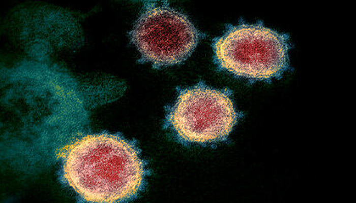 Koronavirus bu yolla da yayıla bilər - Araşdırma