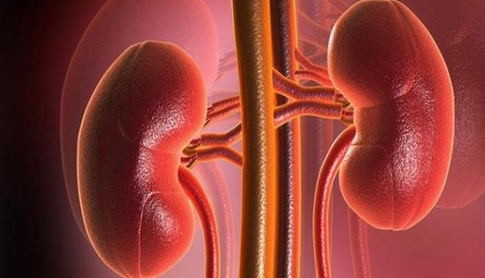 Böyrəkləri qorumağın qaydaları