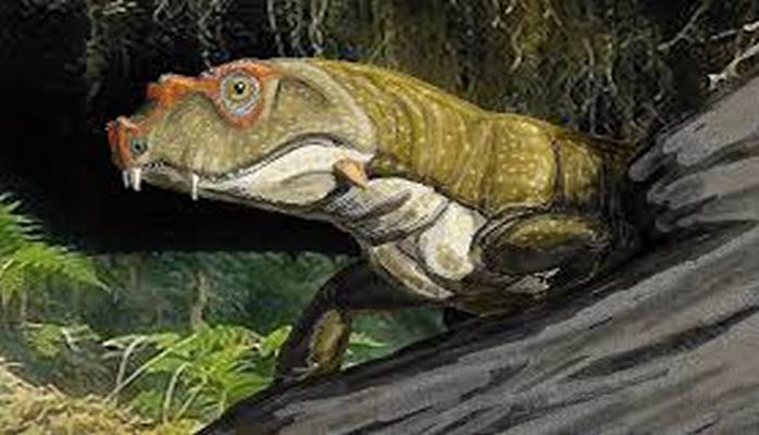 В Гранд-Каньоне нашли следы предшественника динозавров