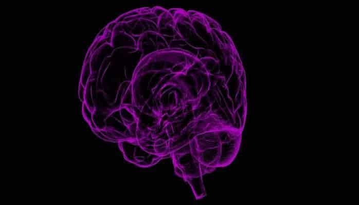 Создана технология для очистки мозга от токсичных белков