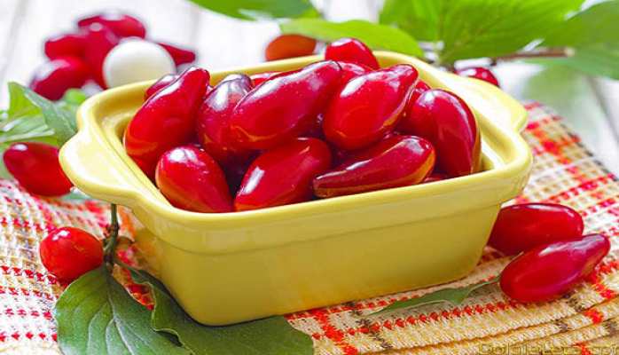 Müalicəvi giləmeyvə Zoğal. 7 faydası