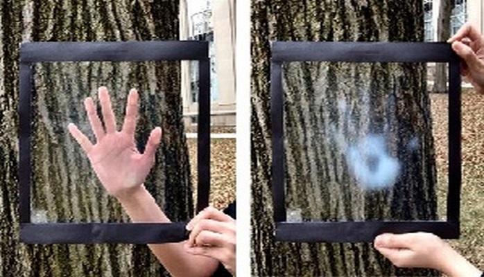 Otağın həddindən çox isinməsinin qarşısını alan nazik plyonka hazırlanıb