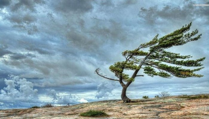 Neft Daşlarında dalğanın hündürlüyü 4.5 metrə çatıb - Faktiki hava