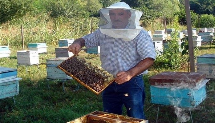 Министр о субсидиях пчеловодам