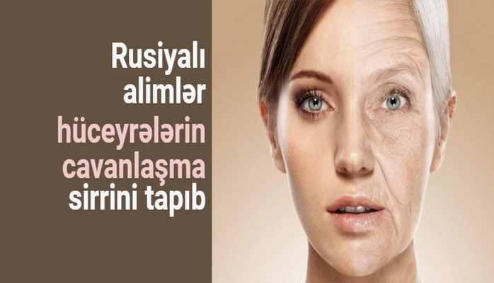 Rusiyalı alimlər hüceyrələrin cavanlaşma sirrini tapıb