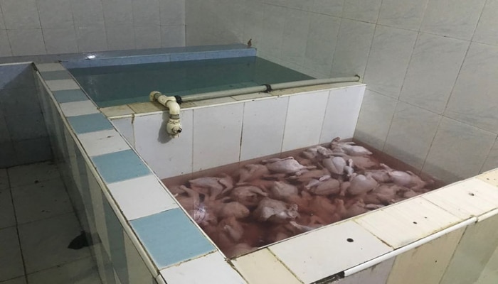 Maştağada quş kəsimi sexi bağlandı