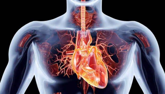 Ürək qapağı infeksiyası nədir? - Əlamətləri, müalicəsi...