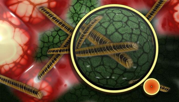 Ученые назвали первые итоги эксперимента длиной 500 лет