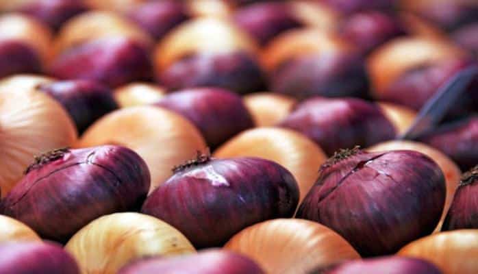 Həm ərzaqdır, həm də dərman — Soğanın faydaları