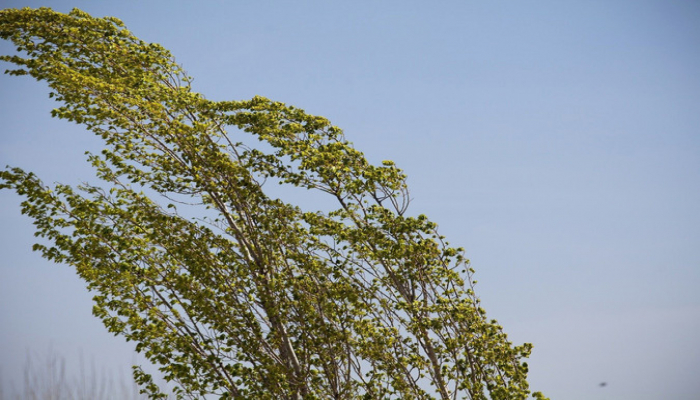 Sabah külək güclənəcək