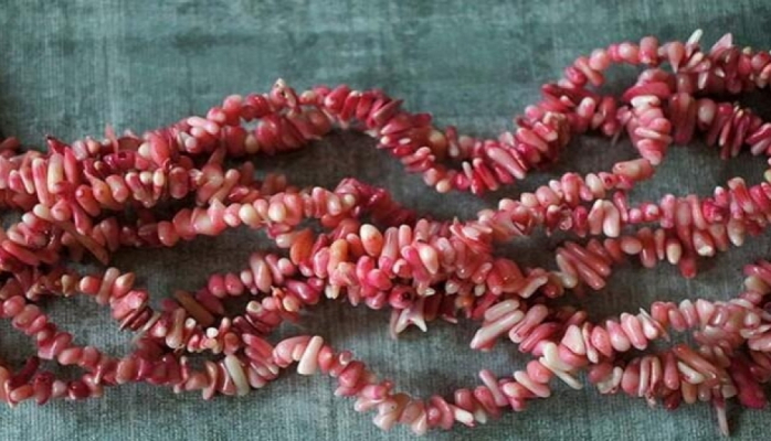 Mərcan daşından ağrıkəsici vasitə kimi istifadə olunur