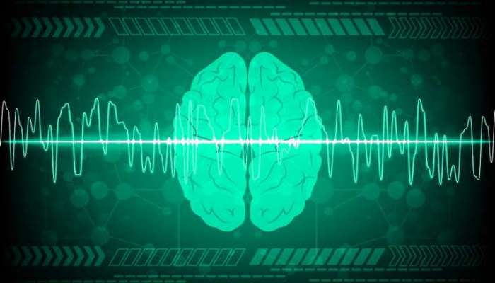 Komada olarkən beyinin fəaliyyəti davam edirmi? - Alimlər araşdırıb