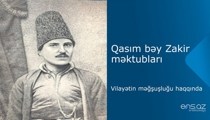 Qasım bəy Zakir - Vilayətin məğşuşluğu haqqında