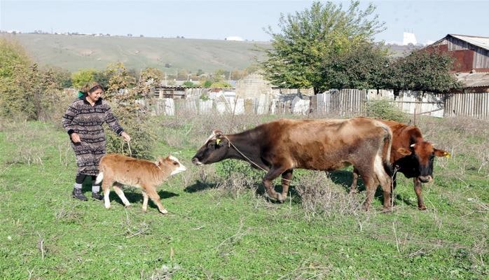 В Азербайджане в рамках программы самозанятости 160 семей получили товары и материалы
