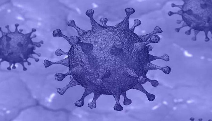 Çin alimləri koronavirusdan qoruyan qidanın adını açıqlayıblar