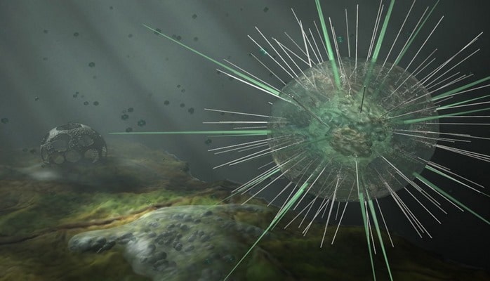 Ученые обнаружили у одноклеточных способность мыслить