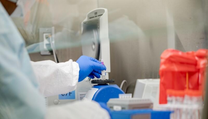 Amerikalı alimlərdən SEVİNDİRİCİ PROQNOZ