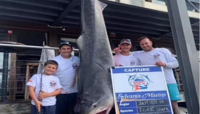 8 yaşlı avstraliyalı nəhəng köpək balığını tilovla ovladı