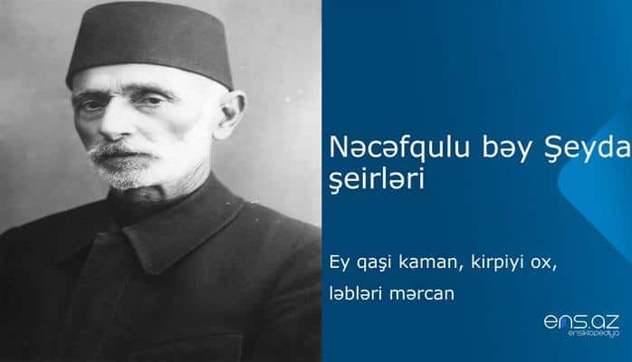 Nəcəfqulu bəy Şeyda - Ey qaşi kaman, kirpiyi ox, ləbləri mərcan