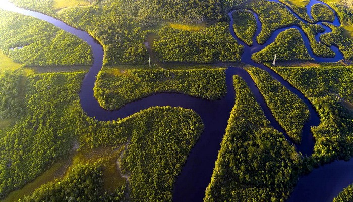 Amazonda meşələrin qırılması qlobal istiləşməyə gətirir