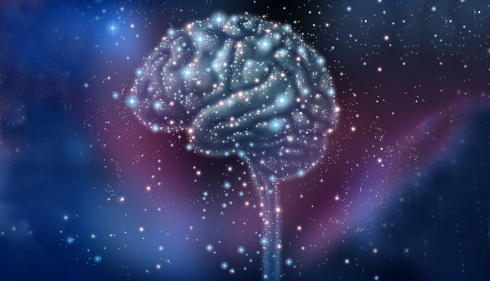 Ученые обнаружили новое свойство человеческого мозга